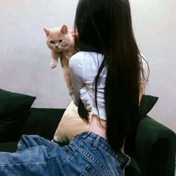 奥迈耶的痴梦